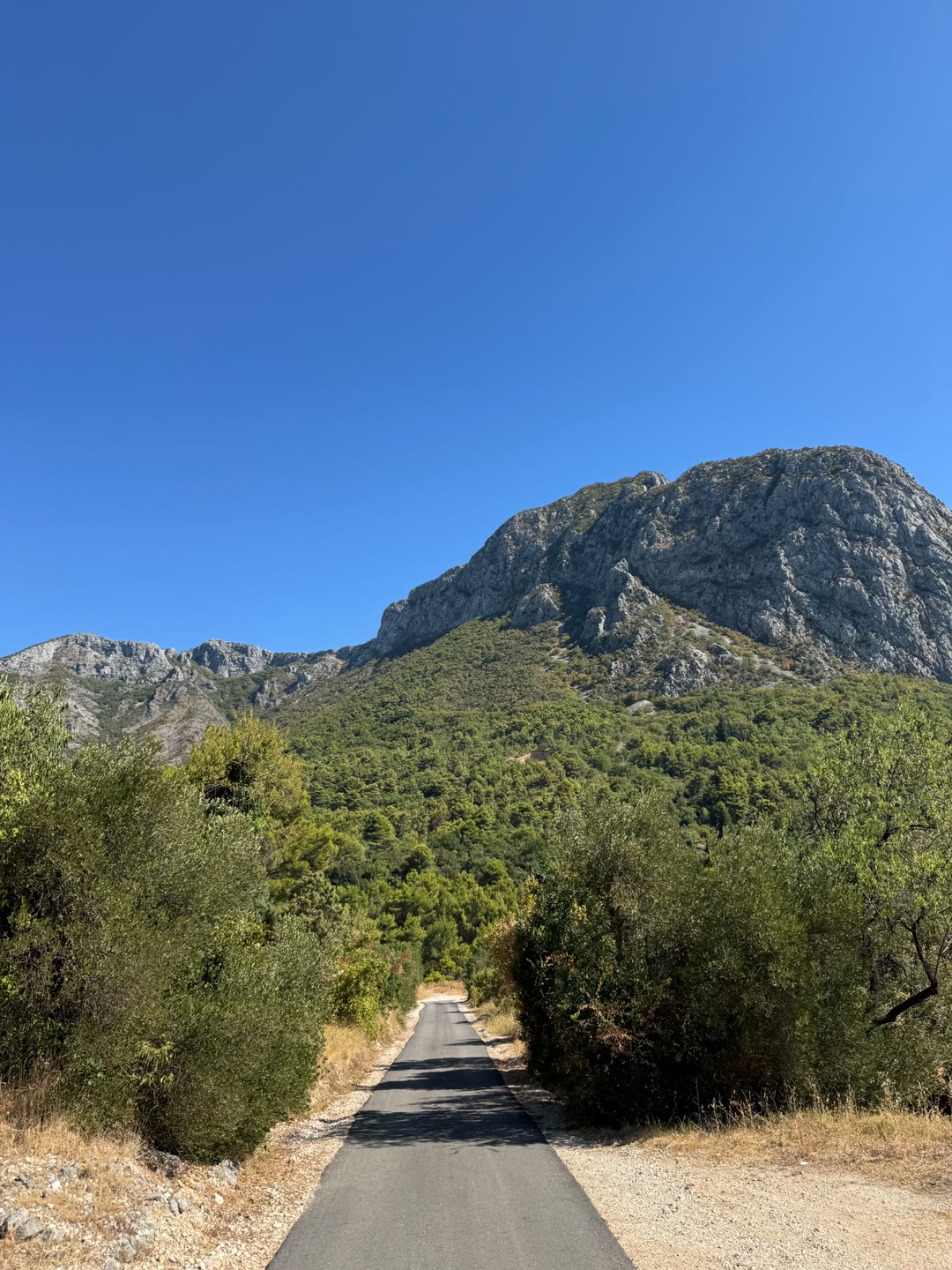 Makarska iz sedla
